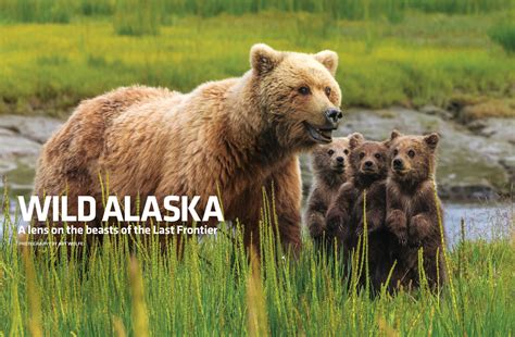 Wild Alaska Betfair